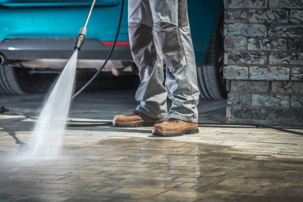 Best Pre-Holiday Cleaning  in Mayo, SC