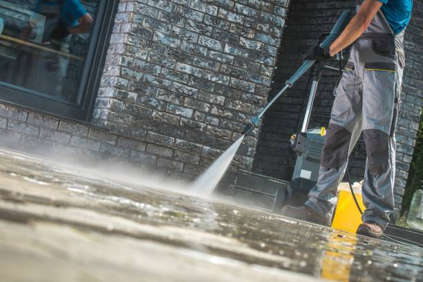 Best Patio and Deck Pressure Washing  in Mayo, SC