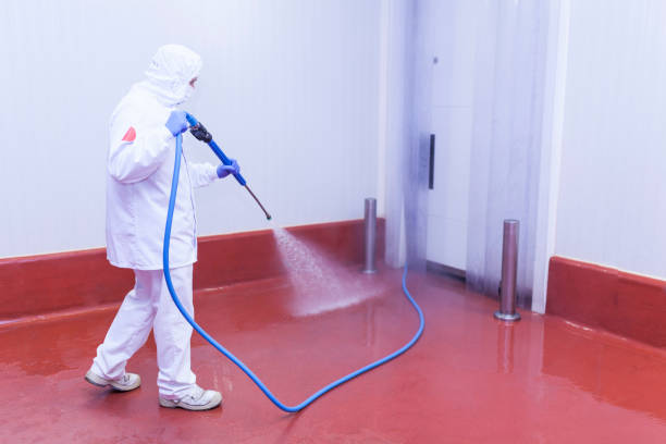 Best Post-Construction Pressure Washing  in Mayo, SC