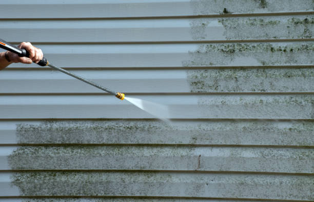 Best Sidewalk and Walkway Cleaning  in Mayo, SC