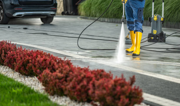Best Driveway Pressure Washing  in Mayo, SC